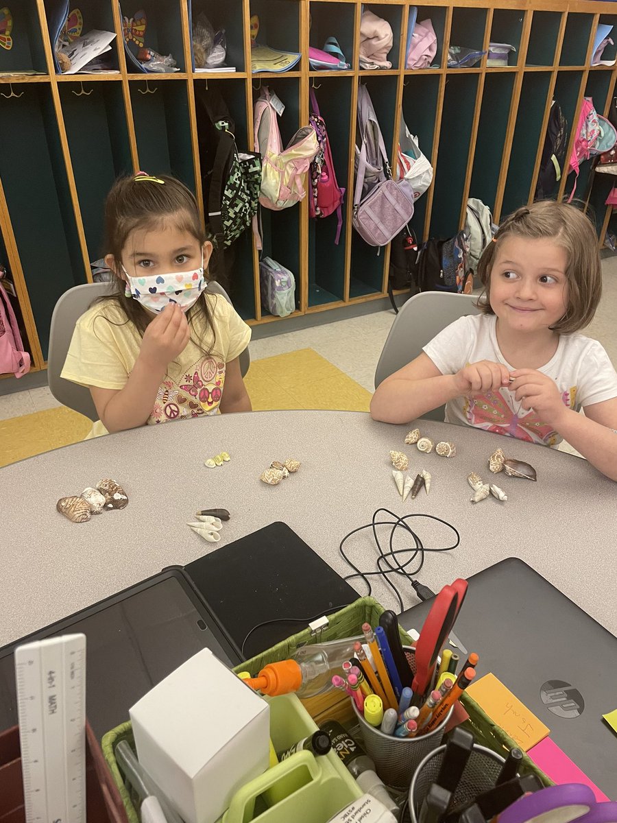 mrsmichelSL's tweet photo. Today in science, we are learning about seashells and what animals use them for. We are comparing similarities and differences and sorting the shells into different groups! @MrsGiannuzziSL @syracuselatin @SyracuseSchools https://t.co/dhWgp4SLj5