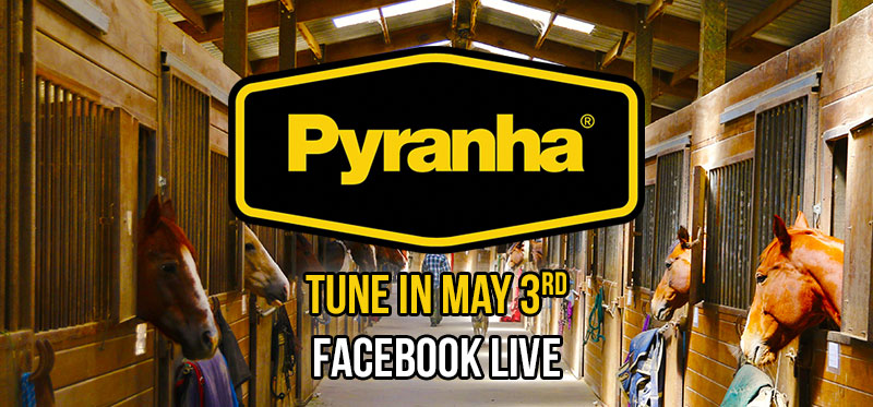 BigDeeTack's tweet image. Tune in TOMORROW at 2pm EST for our Facebook Live with Grant and Farah from Pyranha! You won&apos;t want to miss this discussion on the Pyranha SprayMaster Misting System! 🐎
#bigdeestack #pyranha #flyspray #horsecare #spring #summers #barnessentials #horsebackriding #showseason