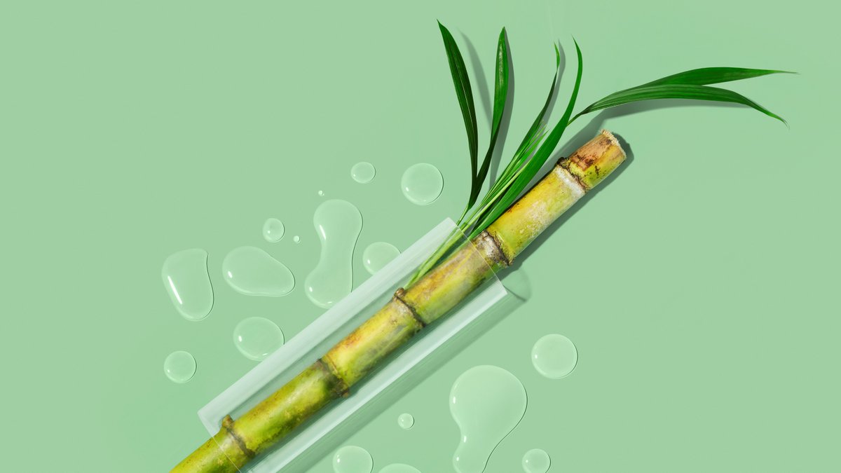 We’re hosting a very special guest at Booth 1648 at <a href="/NYSCC/">NYSCC</a>. Can you guess who it is?

Here’s a hint: you won’t find anything sweeter or more sustainable.

It’s our hero ingredient feedstock: Saccharum officinarum AKA sugarcane! 

See what it makes: hubs.ly/Q018XgJ60