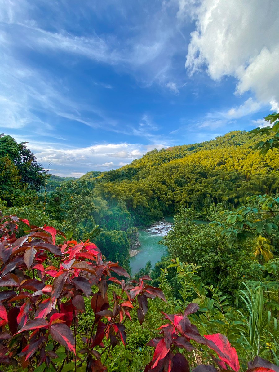 Heaven Is A Place On Earth 
📍Broadstone, Kent, Portland, Jamaica