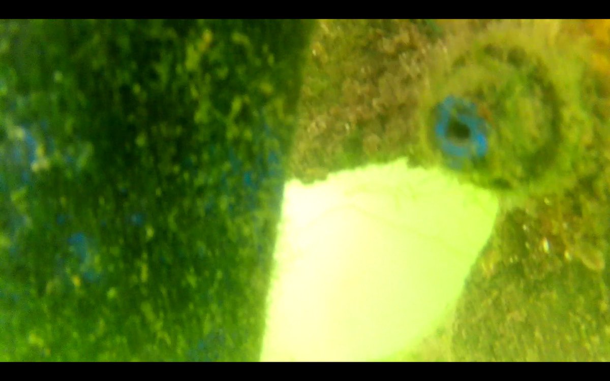 Hull and prop inspection! #ROV