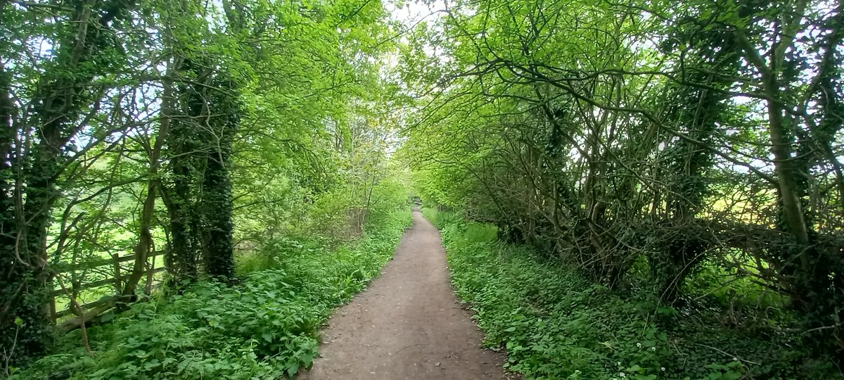Steve72Outdoors's tweet photo. Few more from local walk this morning #StAidansNatureReserve #LeedsCountryWay #Swillington #Wildlife #getoutside https://t.co/3UYXMKHqxJ