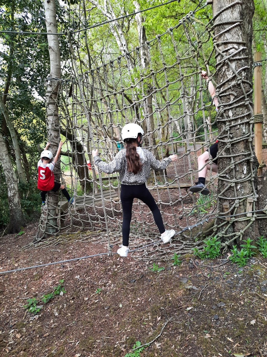 Tracy Foster tweet media