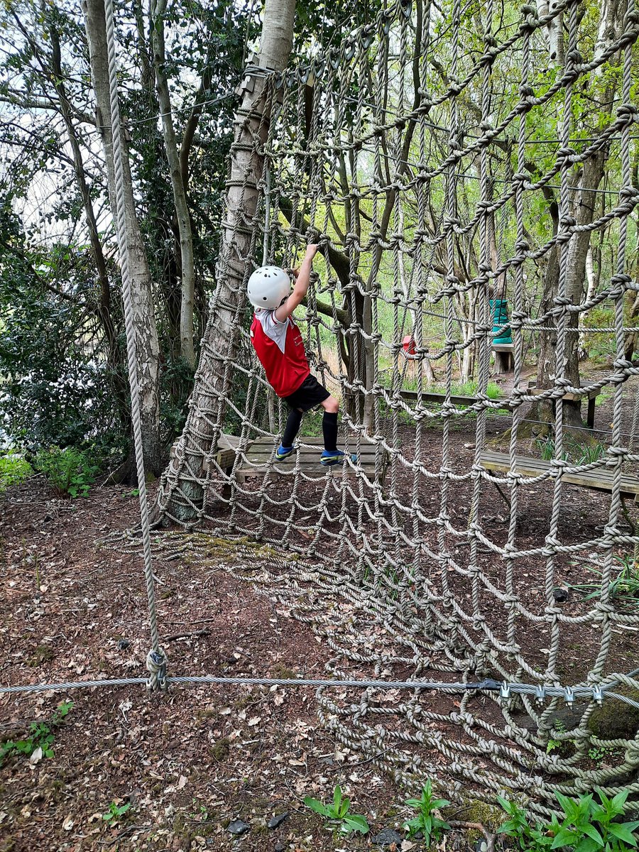 Tracy Foster tweet media