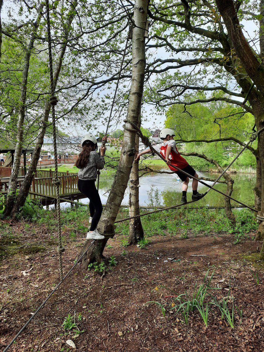 Tracy Foster tweet media