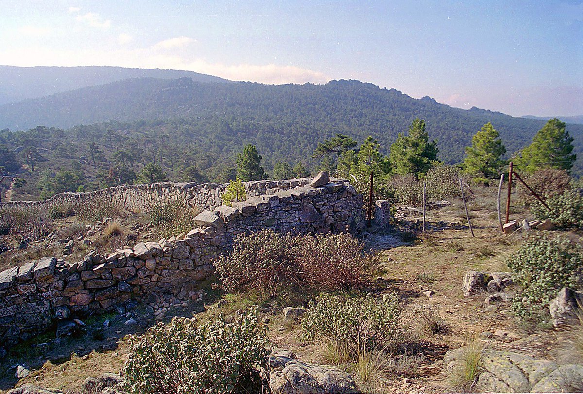 AlymarEdiciones's tweet image. 📸 Lugar conocido hasta 1991 como Pino de las Tres Cruces.

Fue demarcación de tres términos municipales: San Lorenzo de El Escorial, Guadarrama y Peguerinos.

Más imágenes de #DeslindesEscurialenses 📖 en 👉 bit.ly/3LOYhtE

#Madrid #sierranortedemadrid #guadarrama