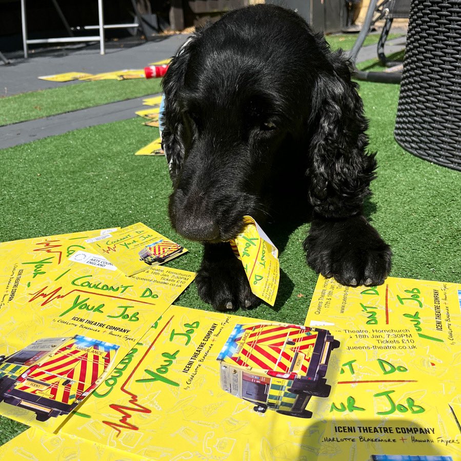 Our No.1 supporter is busy today! 
WE OPEN ON WEDNESDAY AHHHHHH 🫠 Book Now - link in bio 
#newtheatre #londontheatre #fringetheatre #newwriting #pleasancetheatre