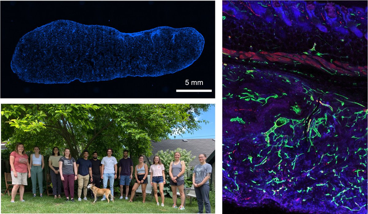 Western's CMHR tweet media