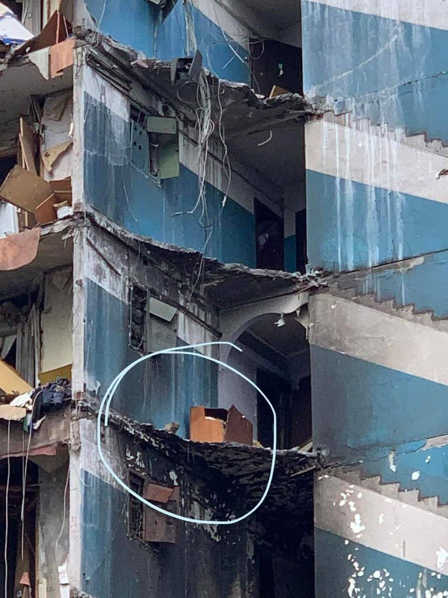 enpaonlus's tweet photo. Kiev, gatto rimasto bloccato al settimo piano di un edificio bombardato salvato dai volontari locali e dei Vigili del Fuoco ucraini. Grazie!!! (fonte: UkraineNow) #Kyiv #Ukraine https://t.co/W7uXgPVRod