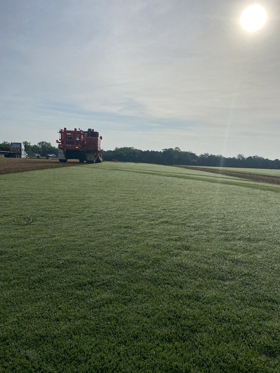 NewLife Turf tweet media