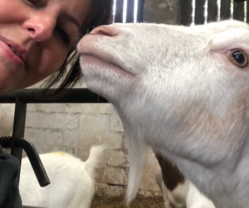 Hellvale's tweet image. Goat yoga .... don’t knock til you’ve tried it .... funniest thing I’ve done in years. Lovely silly goats ... questionable yoga poses but the biggest belly laugh and all for a good cause #cronkshawfoldfarm
