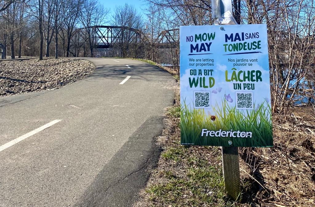 CityFredGov's tweet photo. Are you participating in No Mow May? 👀 Then say it loud and proud! Download our printable signage on Engage Fredericton at https://t.co/KrG1y94GQl to let your community know you are helping pollinators in the city get prepared for the summer ahead! 🦋🐝 https://t.co/SLmQaRLNFh