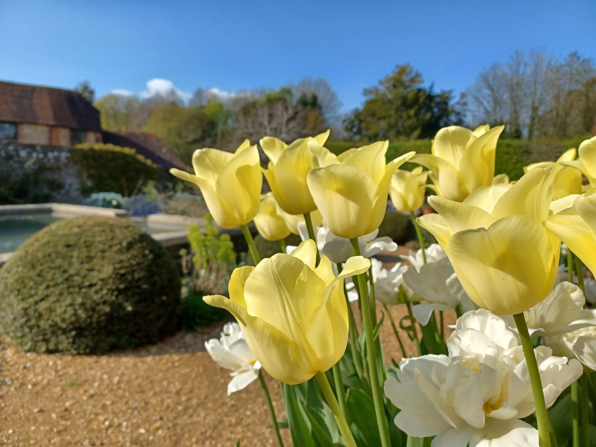 Woolbeding Gardens tweet media