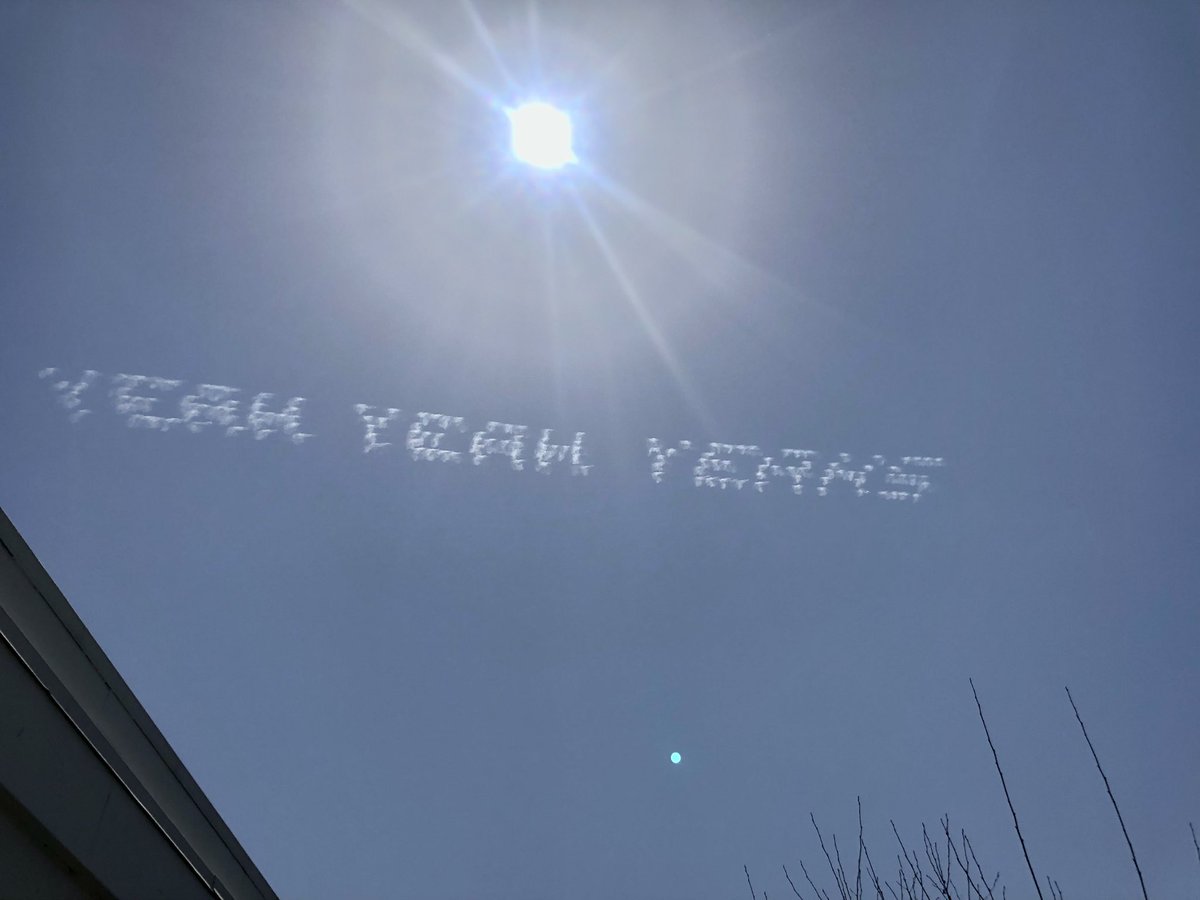 with a net tweet media