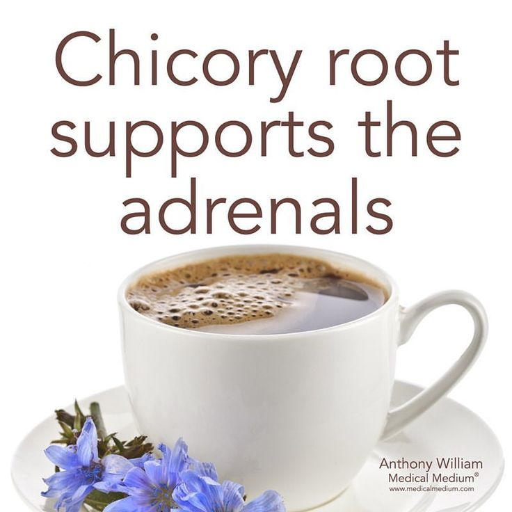144Health's tweet photo. #ChicoryRoot supports the adrenals https://t.co/qWBDK4dqwu