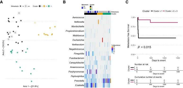 EurUrolOncol's tweet photo. Articles in Press: Microbiomes of Urine and the Prostate Are Linked to Human Prostate Cancer Risk Groups

https://t.co/bMdDs0y97C

@AbrahamGihawi @Gemma_L_Kay @KateManley4 @davidcwedge @YazbekHanna @markr1004 @Justin_OGrady 

#urine #prostate #cancer #risk #urology #MedTwitter https://t.co/Q3Z9LJbA8v