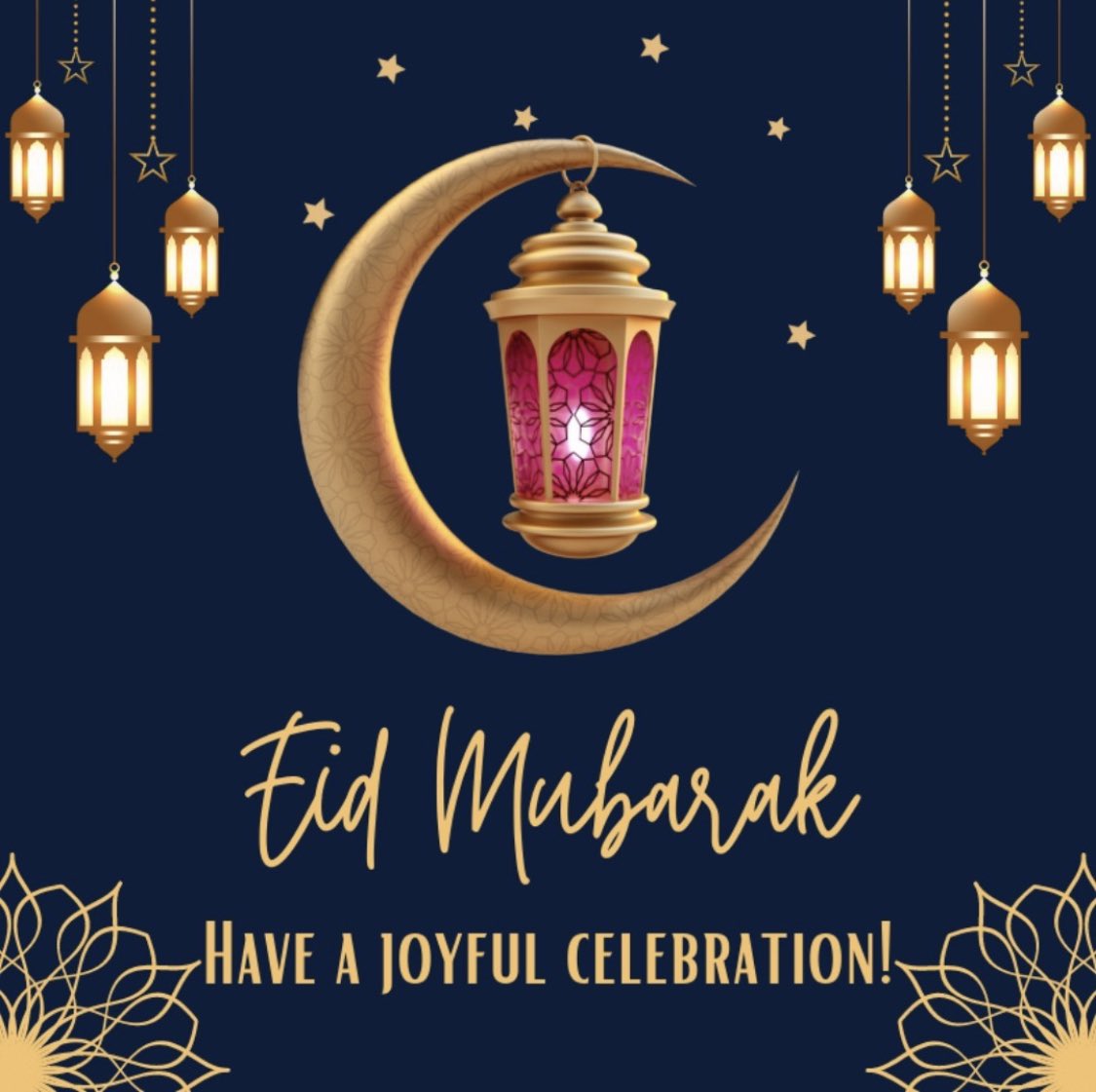 Cathia S Levite tweet media