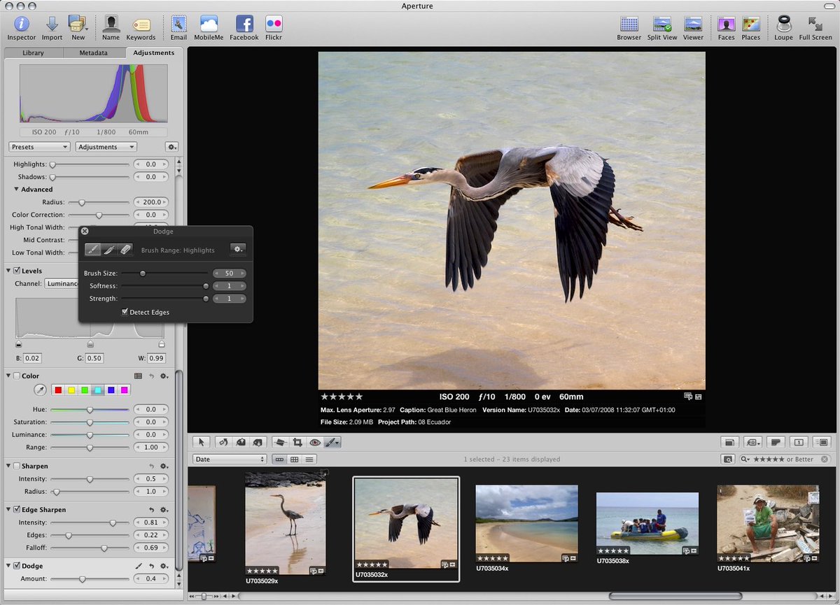 Basic Apple Guy tweet media