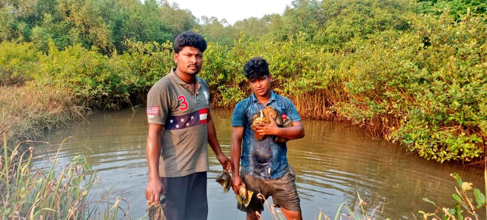 SoumyaMarineWL's tweet photo. Joined the Weekly mangrove Cleanup Campaign by @RahulMaharana0 who have pulled out 2 tonnes of wastes from fragile mangrove ecosystem along the Devi river mouth.
Hon'Ble @PMOIndia @narendramodi was praised his indomitable spirit in his "Mann ki Baat" program last month.
#Odisha https://t.co/ojOHenNZt0