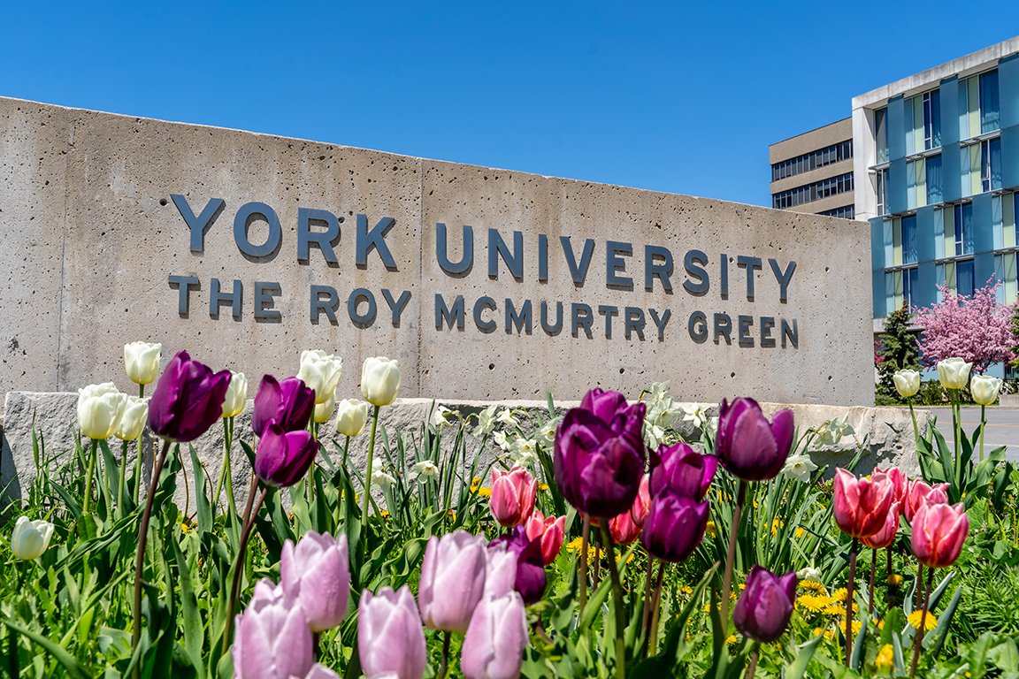 YorkU_TandL's tweet photo. Save the date for the Teaching in Focus (TiF) conference, hosted by the Teaching Commons @YUTeaching on May 11 &amp; 12. 📅

This year's theme Rest, Renew, Revitalize encourages us to take a timeout while revitalizing our teaching with new energy. 

Join here: https://t.co/hXsjvz91eC https://t.co/KpuHCyhTNY