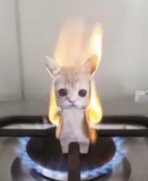 THINGS THAT WILL MAKE YOU SHIT FROM FEAR💥 (@shitfromfear) on Twitter photo 