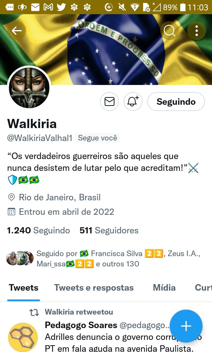 RealistaTex's tweet photo. Sigam @WalkiriaValhal1 rumos aos 1000 seguidores!🇧🇷 https://t.co/6H64jfEvfx