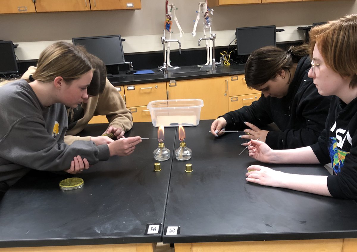 Scaffold lesson to learn how to use aseptic technique! These were our two practice activities leading up to our future isolation lab 🦠 

#PLTW #PBS #weRmedina #MCCCPLTW

PLTW is a collaboration between MCCC and MCS