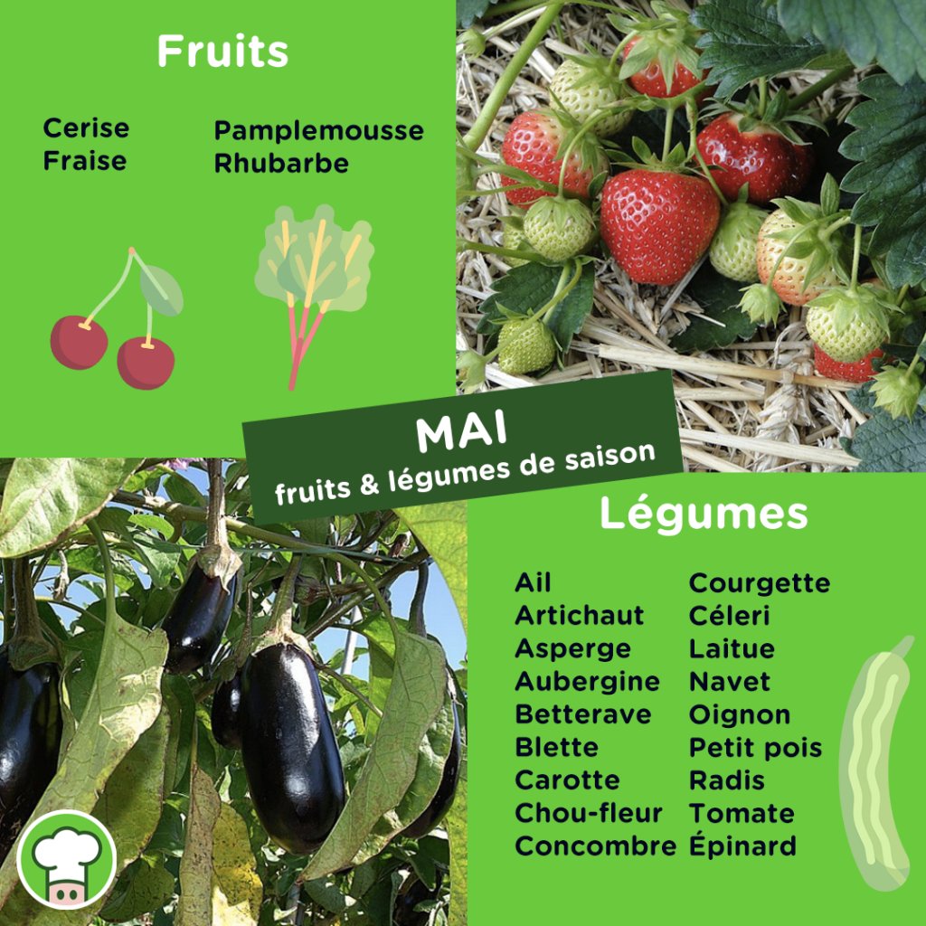MoovOnLR's tweet photo. Apprenons toujours à manger les fruits, légumes du mois 🥝 🍊 🥕
A votre marché et régalez vous 🌽 🥑 🥦 🍓
#alimentation #bio #bienêtre #fruits #légumes #mai #sports #activités #consommation #saisons #autonne #papillesgustatives #plaisir #sain #équilibre #terre #mangerbien https://t.co/3lCg7KDGOn
