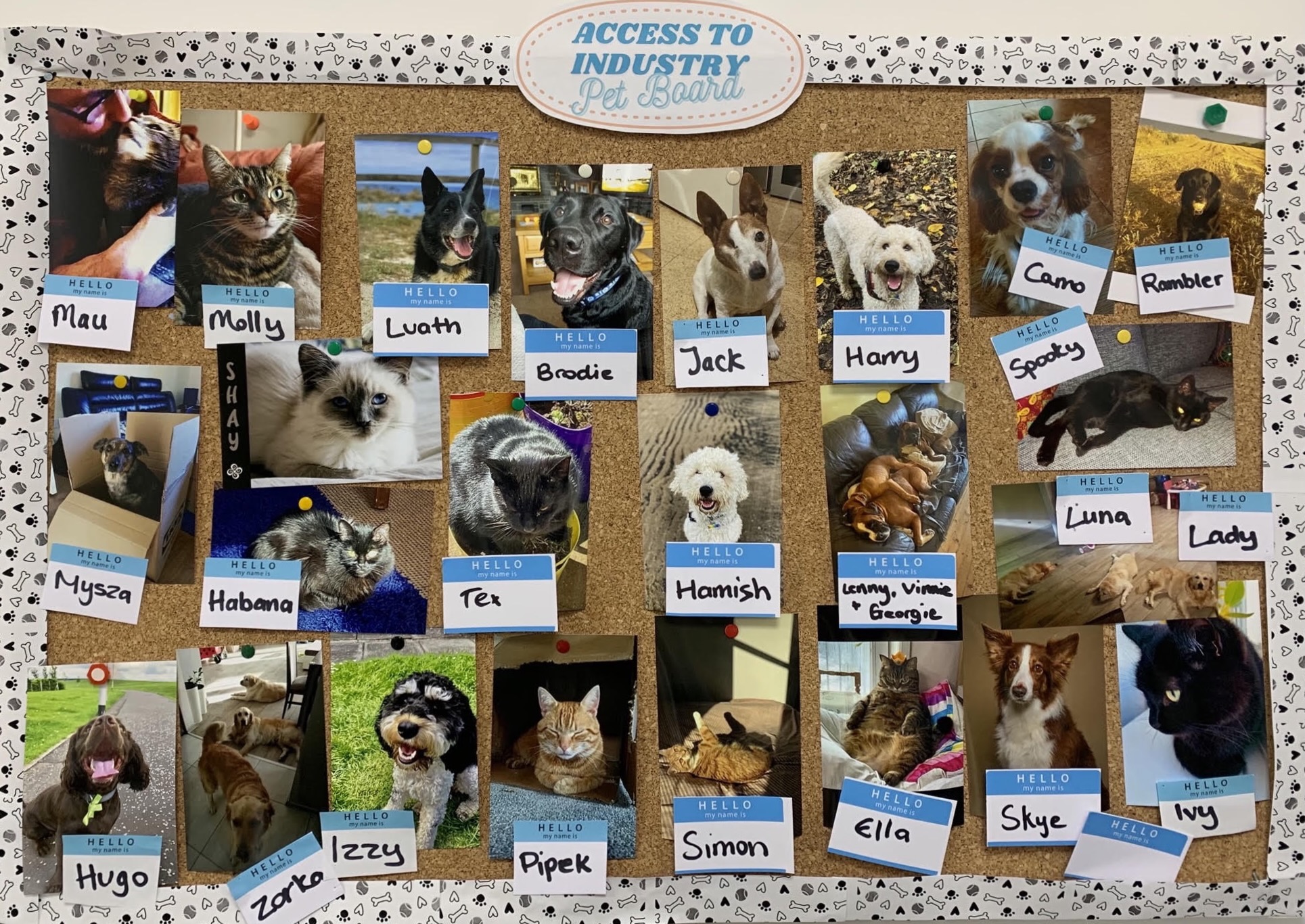 Access to Industry on Twitter "Cute content alert! We recently updated