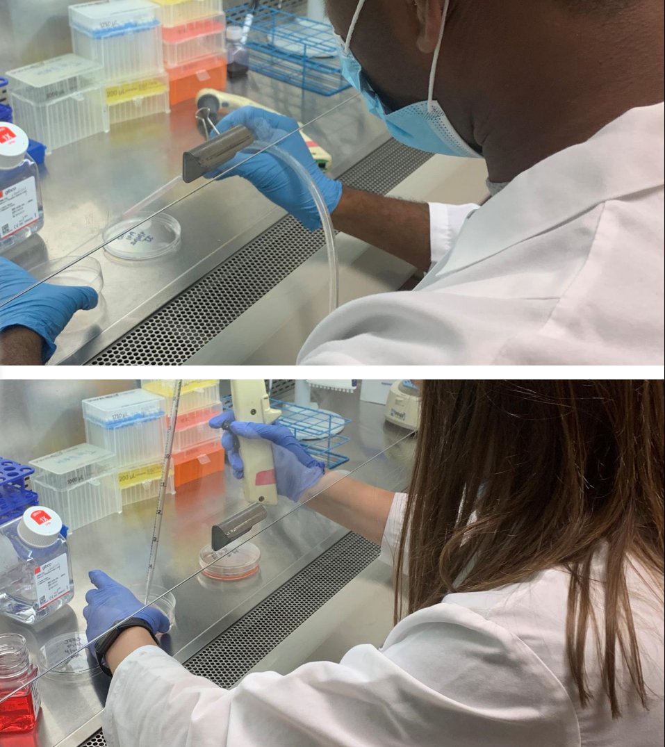 UNC Institute for Environmental Health Solutions tweet media