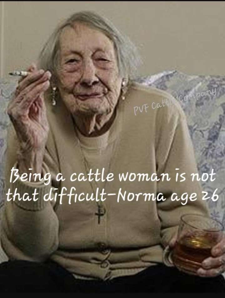 claudiaalbrech4's tweet photo. I’ve never seen a better meme. https://t.co/p2A9lhCrLC