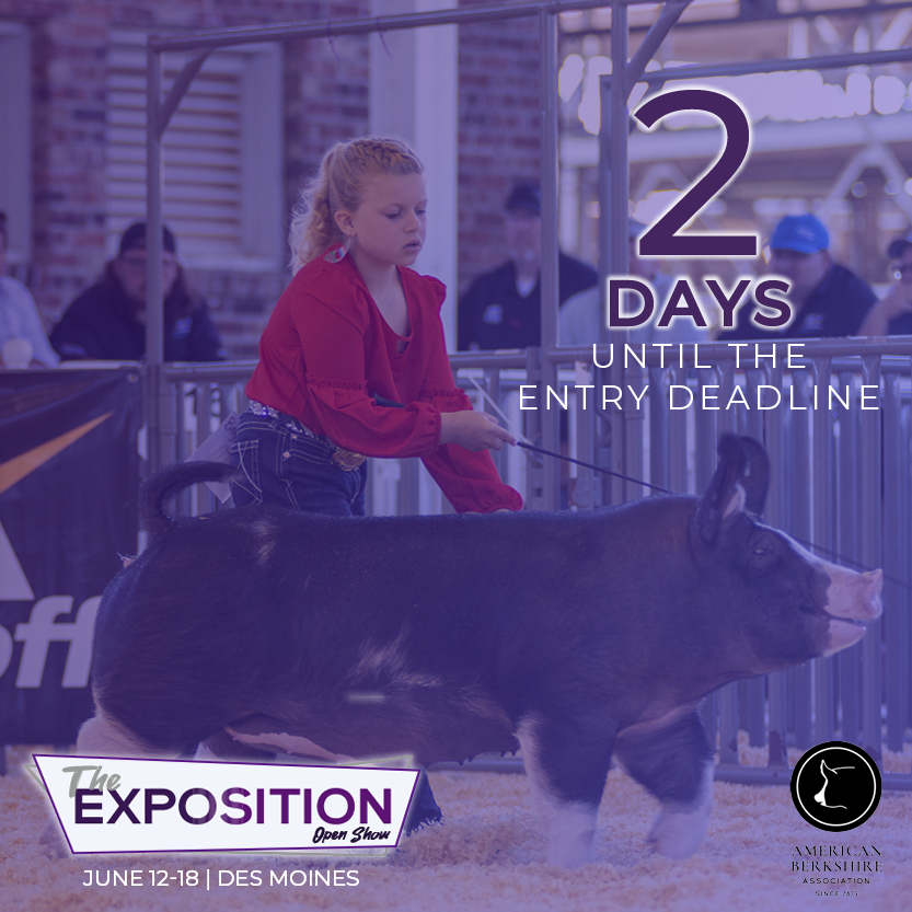 The entry deadline is quickly approaching for the 2022 Exposition! Don't wait! 

Find Expo info at: americanberkshire.com/the-exposition/

#AmericanBerk #TheExposition22