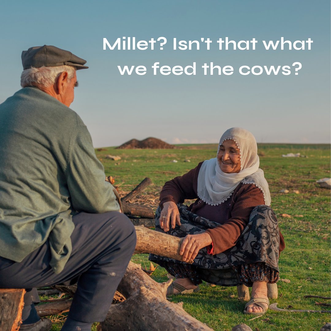 Rainfed Foods tweet media