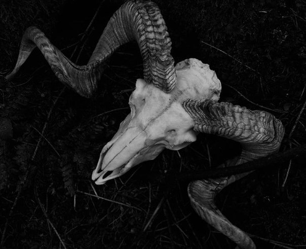 Archillect (@archillect) on Twitter photo 