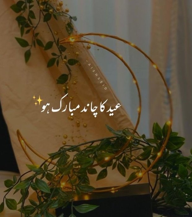Mirزa tweet media