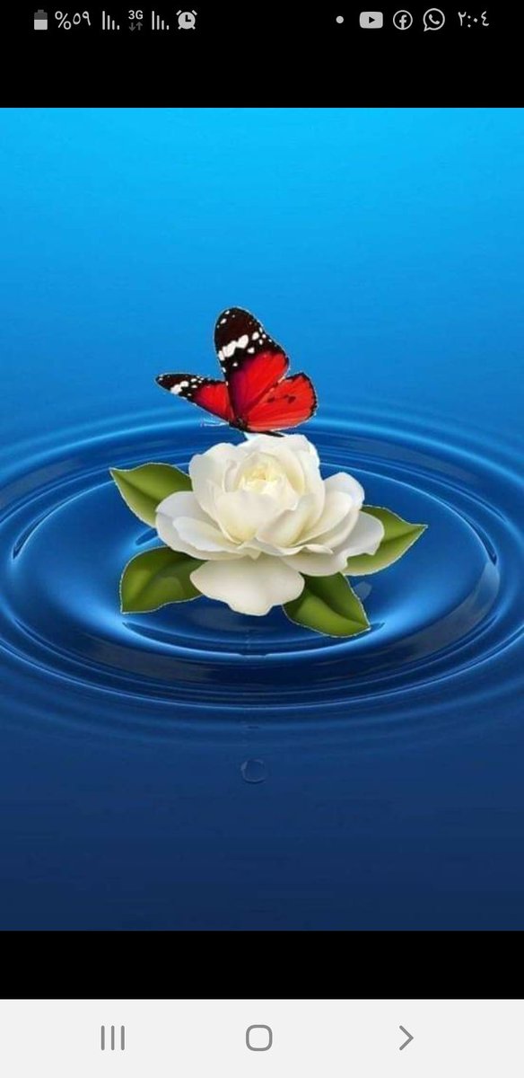 SyDored's tweet image. 