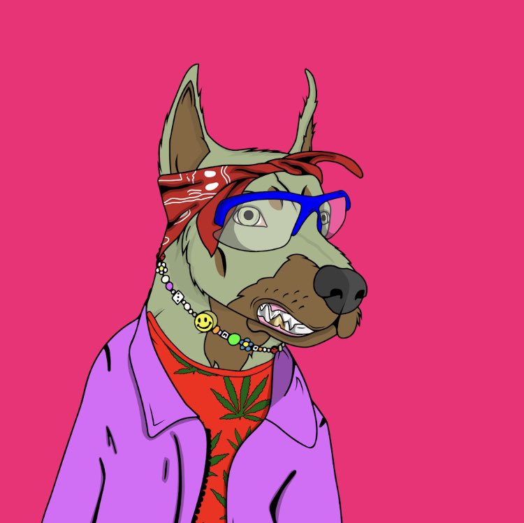 Dr. Kai 🧨 (@sinkailai1) on Twitter photo Hey guys, just joined the <a href="/dobermangangnft/">Tha Doberman Gang MINTING NOW ‼️</a> project . Doggy looking drippy 😎😎😎 Hey guys, just joined the <a href="/dobermangangnft/">Tha Doberman Gang MINTING NOW ‼️</a> project . Doggy looking drippy 😎😎😎