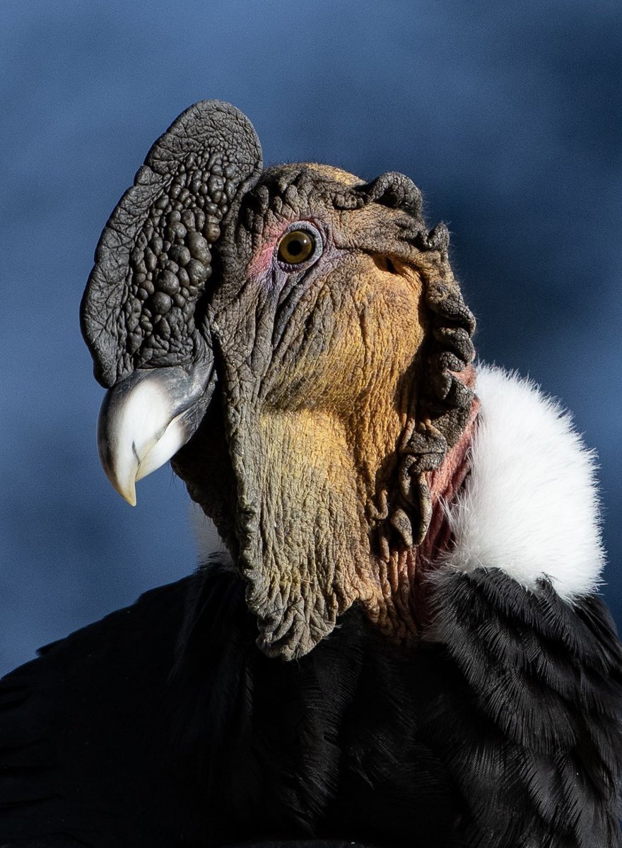 Ty Lekki tweet media