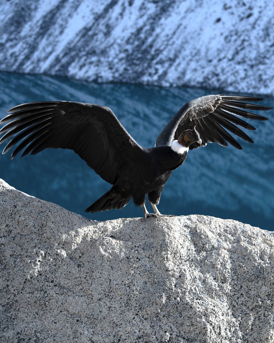 Ty Lekki tweet media