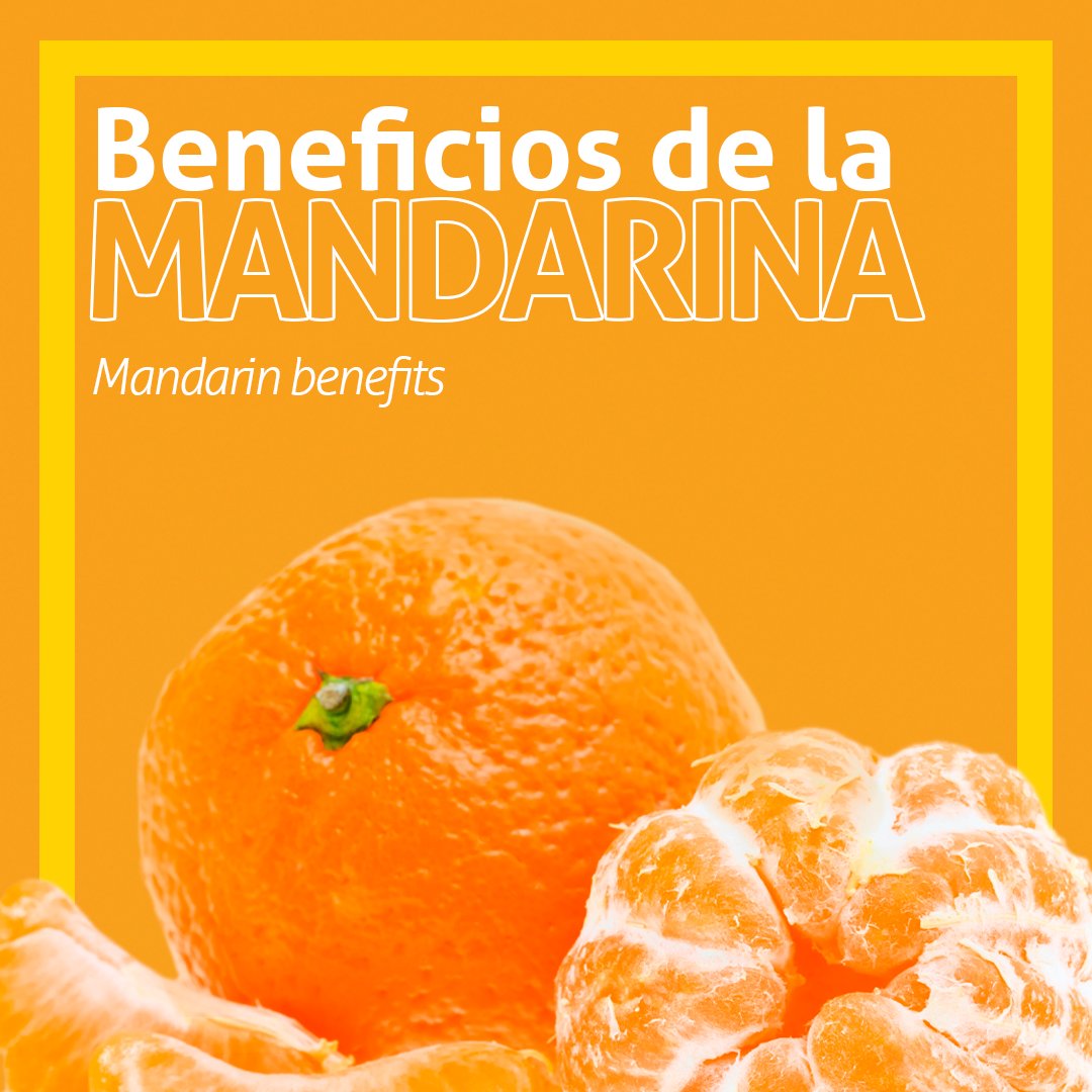 SanMiguelGlobal's tweet photo. 🍊 ¿Sabías que la mandarina contiene agua en un 88%?
Mirá las imágenes y conocé más beneficios que puede aportar a tu vida diaria.

Did you know that mandarins contain 88% water?
Look at the pictures and learn more about the benefits that it can bring to your daily life. https://t.co/OxlegSBWGU