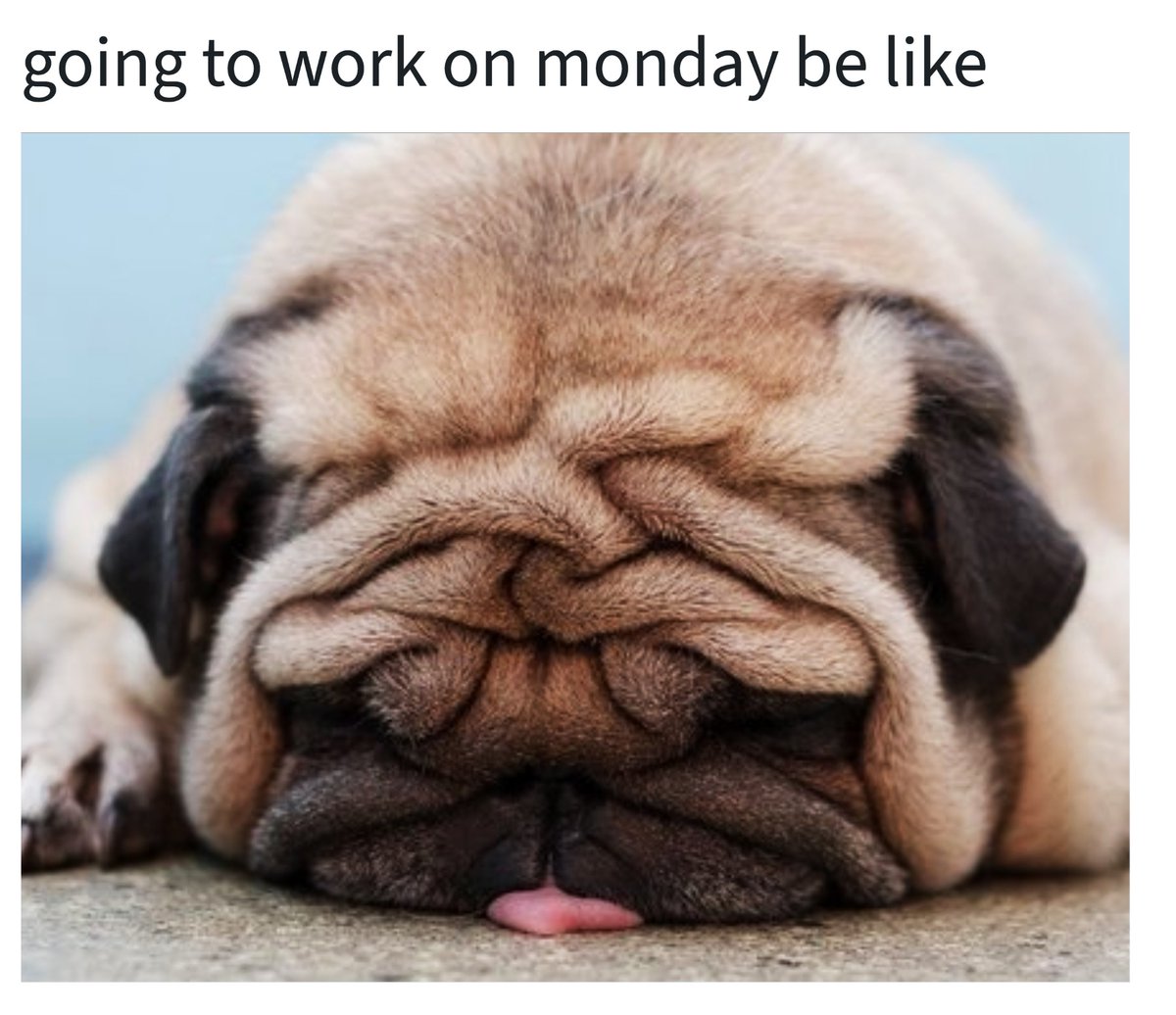 especially when you party like a tipsy elf on the weekends 🤪 💃 🕺 🍻 # mondays #meme #memes #pug #monday #tipsyelves, image size:1200x1036