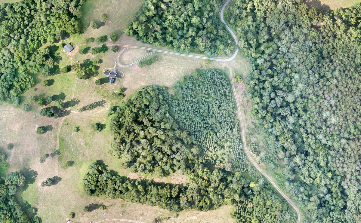 uvaservice's tweet photo. The Autism Sanctuary is working on 2 new trails for visitors and need volunteers to help with mulching &amp; moving fallen limbs from the planned trail area.

If interested, feel free to reach out to Bryan Vig to schedule time to help out at vig22911@gmail.com or 434-227-0187. https://t.co/TFppctcUQr