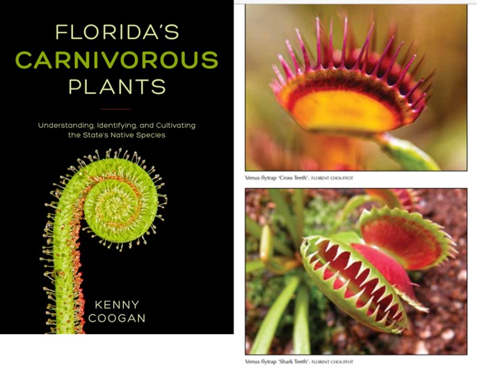 Lumenwall's tweet photo. This Wednesday is World #CarnivorousPlant Day. Kenny Coogan from the International Carnivorous Plant Society wrote a book that will be out this summer and my photos are in it! From now through May 31, use coupon code FLCP30 to get 30% off: https://t.co/7kmZf3BBt6 https://t.co/QGAFVgqgAt