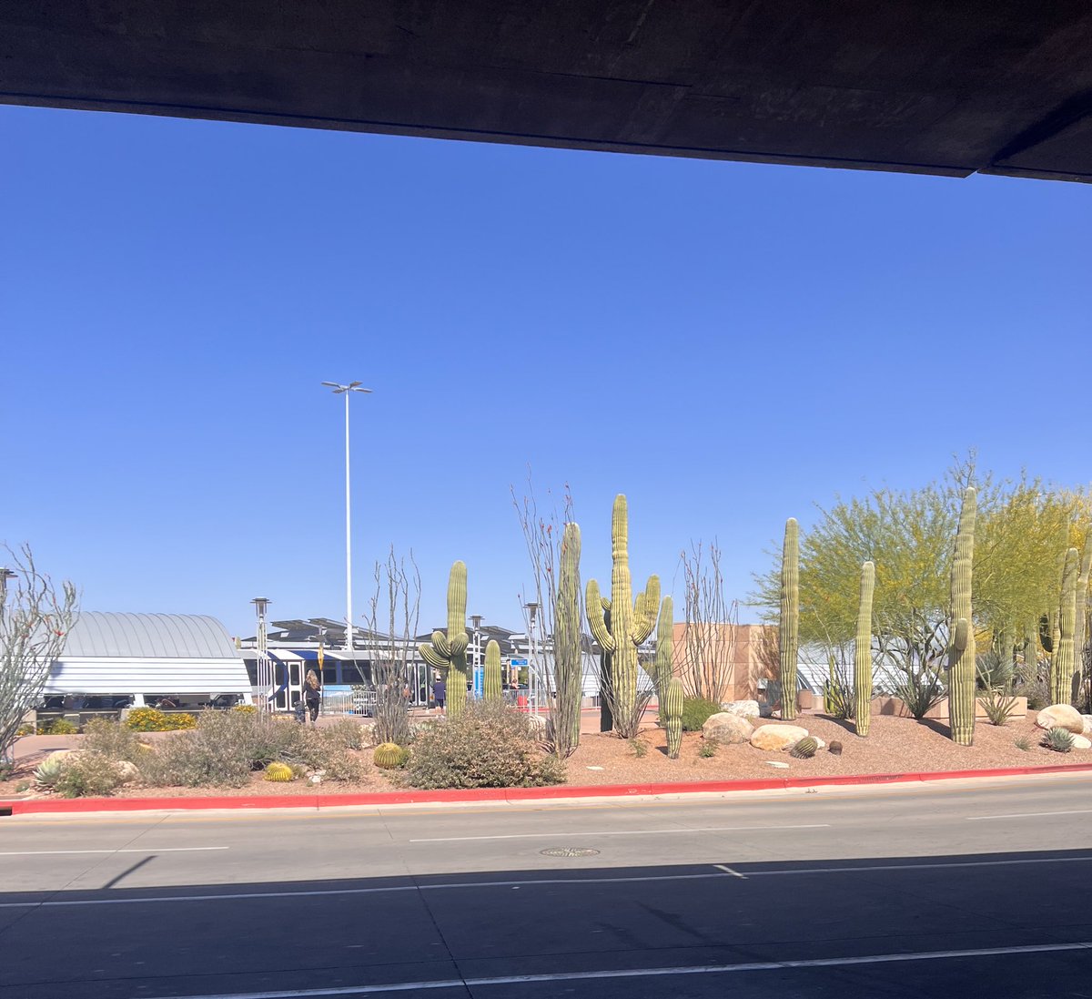 Sooo excited to be spending the month in Tucson, working and learning from our friends <a href="/UAsleephealth/">UA Sleep Health</a> <a href="/michaelgrandner/">Dr. Michael Grandner</a> <a href="/sphynxkennedy/">Kat Kennedy, PhD</a>. Already in love with the landscape! <a href="/DagmaraLilas/">Prof Dagmara Dimitriou</a> <a href="/uclserl/">UCL Sleep Education and Research Lab (SERL)</a>