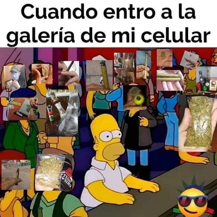 BreakinGatos's tweet photo. Galeria https://t.co/q8tTBNNbaT
