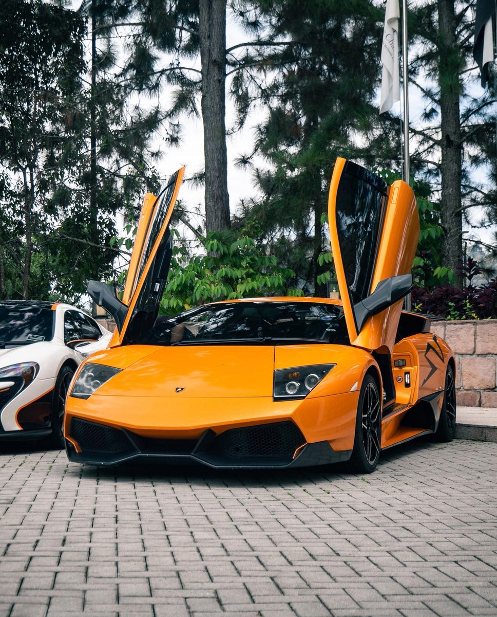 Lamborghini Murcielago SV 🍊
