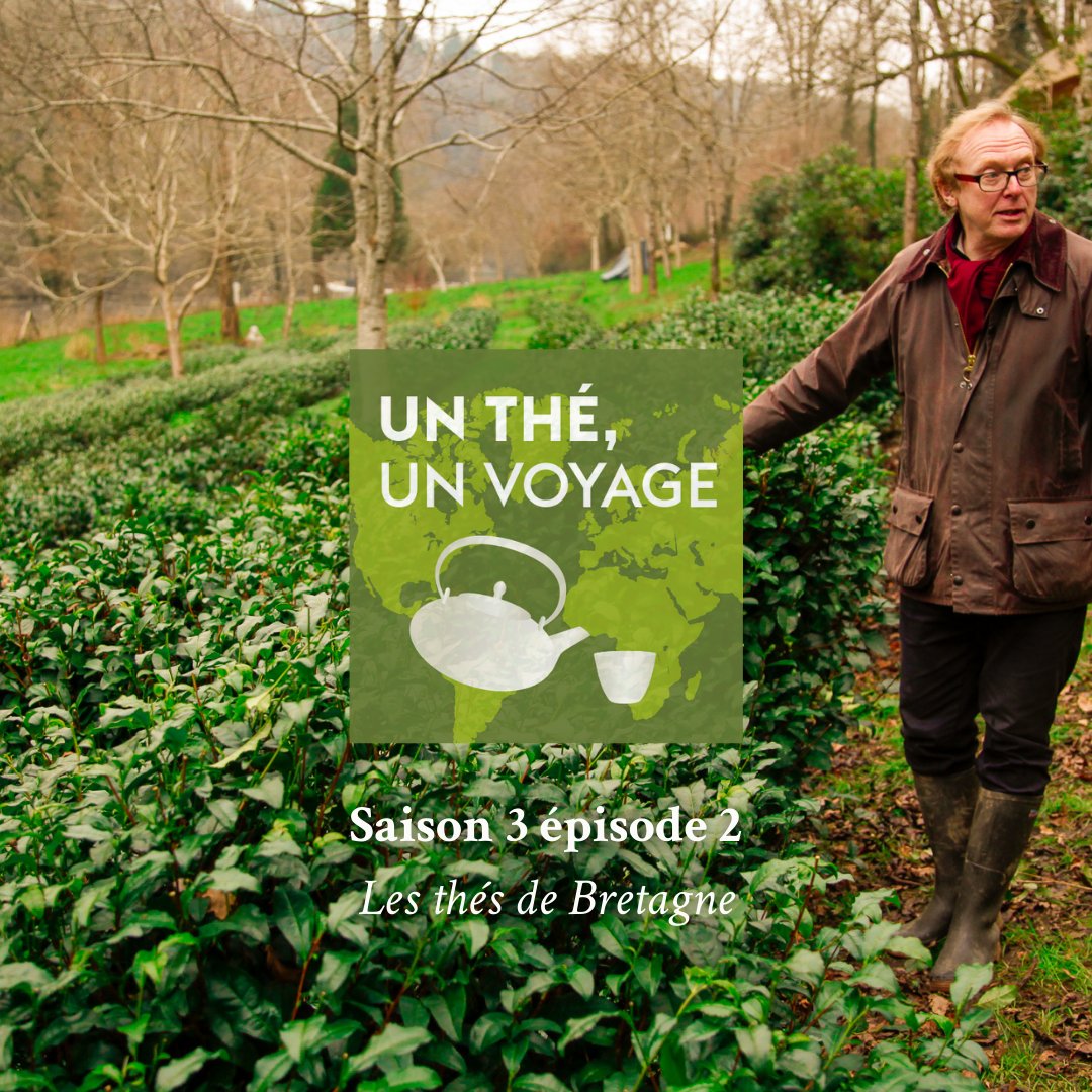 [Podcast]
Un voyage inattendu, à la découverte des thés Made In France. 🌱

A découvrir sur les plateformes de podcasts habituelles (Apple podcast, Spotify, Deezer...) et sur le site Palais des Thés => bit.ly/38KTZ7z

#palaisdesthes #podcast #bretagne