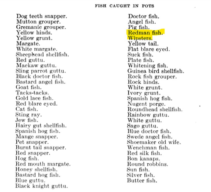 DahlRom's tweet photo. Help needed: Old terminology for common fish from Virgin Islands: Does anyone know what the modern common or sci. names for "Redman" and "Wipsters" fish species are? They are mentioned several times in early 20th century sources from the Islands. #virginislands #marinehistory https://t.co/guJLiqIRkA