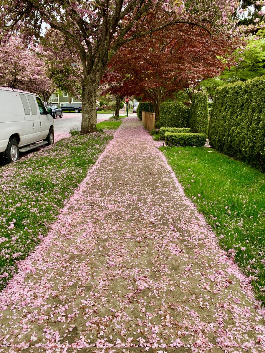 Accumulation in some areas with 2-5cm on the ground