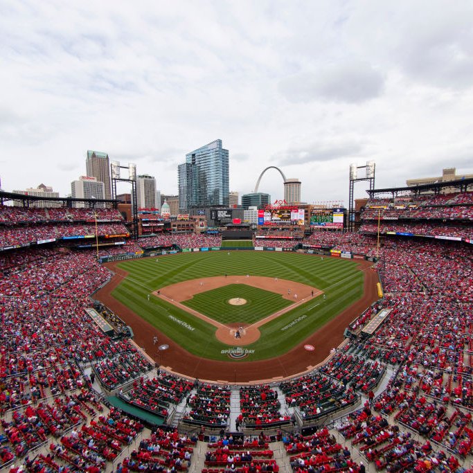 Action Network tweet media